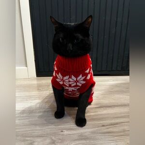 Cute Red and White Cat Sweater